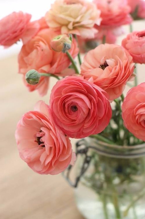 2y_n3rQtwBw (465x700, 269Kb)