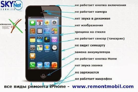  iPhone (556x371, 57Kb)