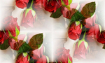  roses-red-flowers-romantic (700x420, 315Kb)