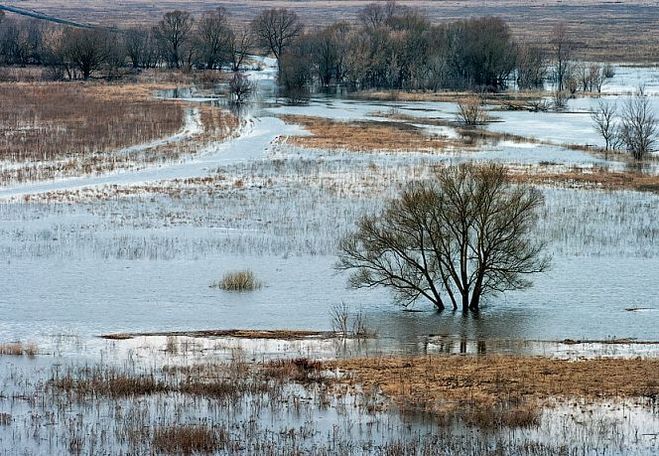 Картинки антип водогон