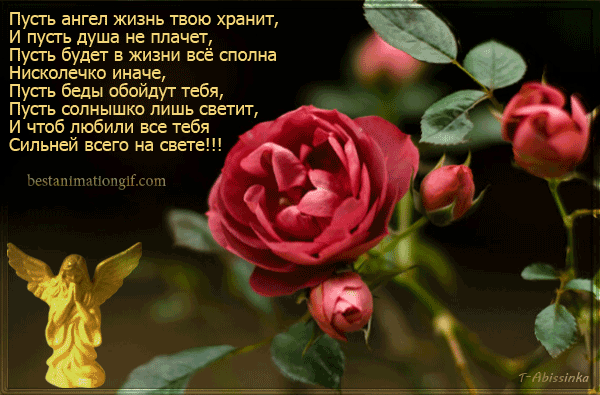     ...  (600x395, 640Kb)