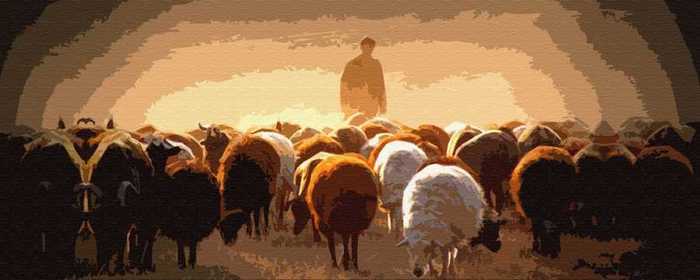 shepherd (700x280, 18Kb)