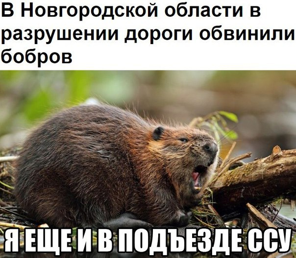 http://img1.liveinternet.ru/images/attach/d/1/135/639/135639217_h95JSECaBg.jpg