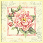  Dimensions 35135 - Peony Blossom () (564x559, 182Kb)