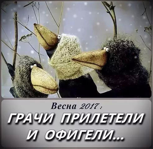 135048443_h28799 (492x477, 62Kb)