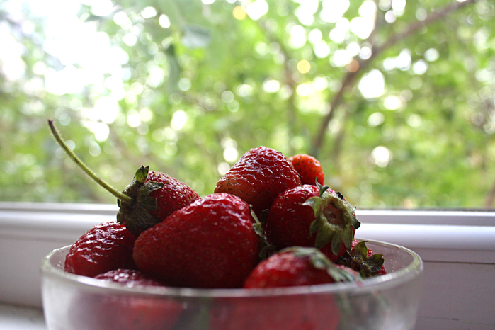 4052195_IMG_5981 (700x466, 314Kb)