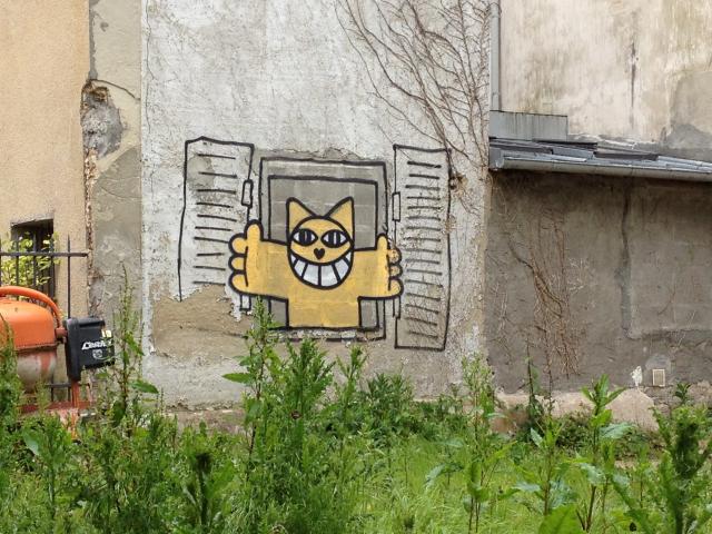 m.chat-traine-ses-moustache-trouville_0 (640x480, 71Kb)