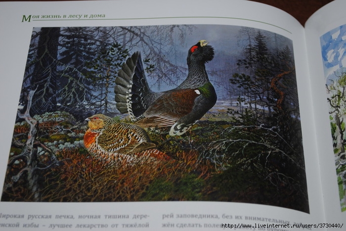 Рисуем и играем горбатова