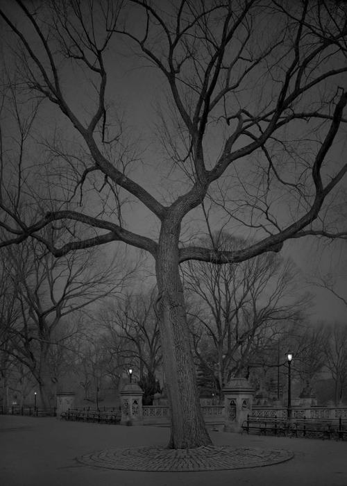 haunting-images-new-york-city-michael-massaia-28-5923dfa8752cc__880 (500x700, 214Kb)