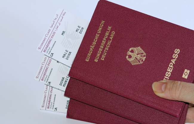 4878453_pasport1 (650x417, 106Kb)