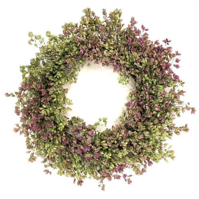 3340980_Oregano_wreath (700x700, 356Kb)