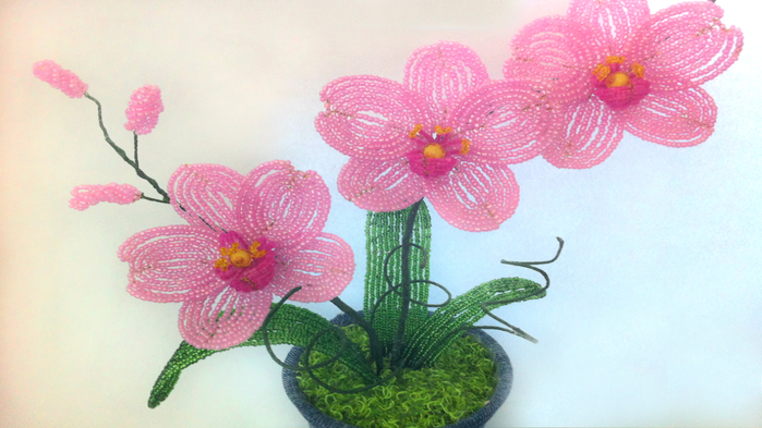       . DIY Orchid from beads own hands the master class/5017731_orhideya_iz_bisera_svoimi_rykami_master_klass (700x393, 354Kb)