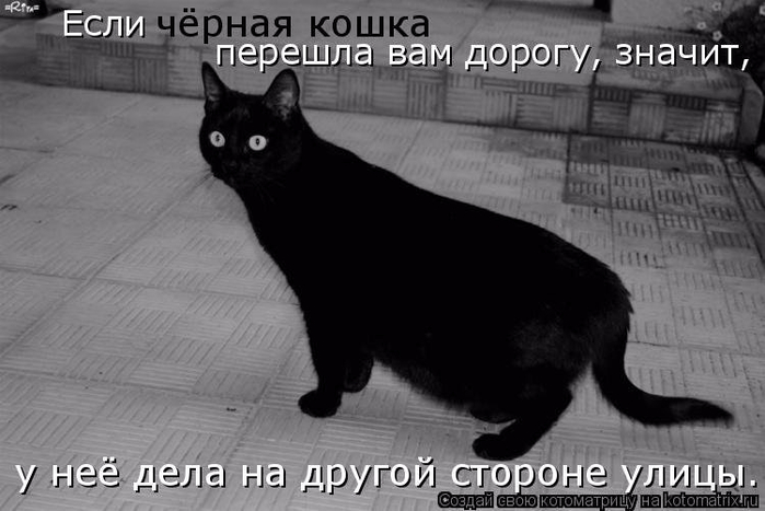 http://img1.liveinternet.ru/images/attach/d/1/136/19/136019337_bfdb1cas960.jpg