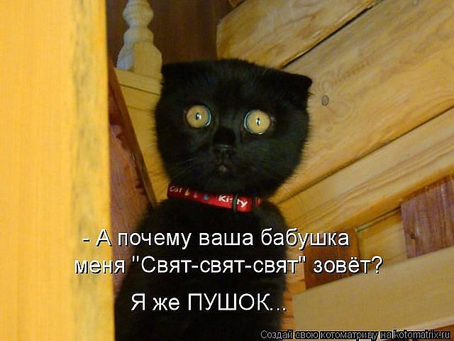 http://img1.liveinternet.ru/images/attach/d/1/136/19/136019339_kote3.jpg