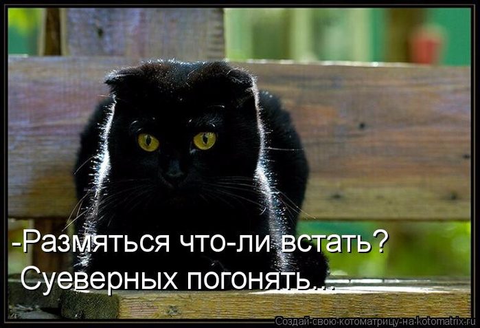 http://img1.liveinternet.ru/images/attach/d/1/136/19/136019341_Stimkaru_1324043161_1055612.jpg