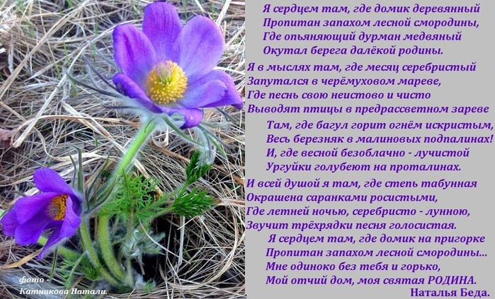 image (3)  (700x423, 144Kb)