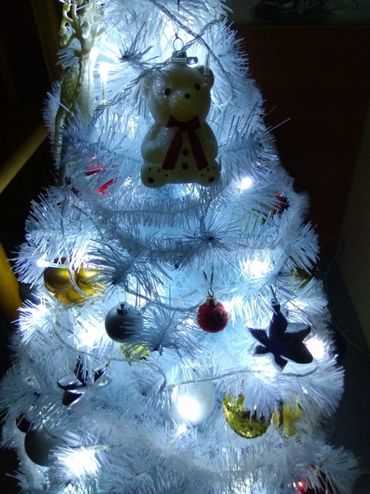 4052195_IMG_20171224_170247 (525x700, 296Kb)