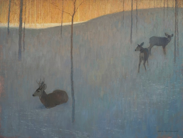 In the Snow and Shadow (700x529, 260Kb)