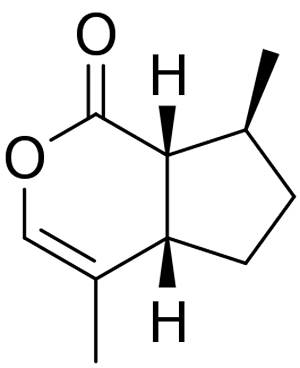 picture_of_the_day_nepetalactone_33 (300x368, 20Kb)