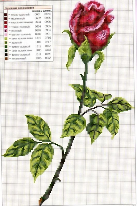img13.png (465x700, 327Kb)