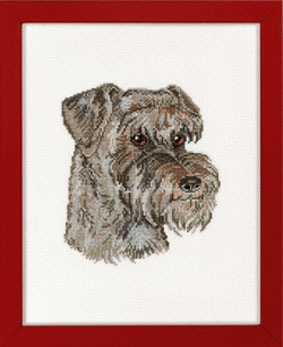 Miniature Schnauzer (283x347, 42Kb)