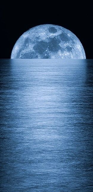 e2d744ebd02055b945201573f179a2e1 (313x640, 47Kb)