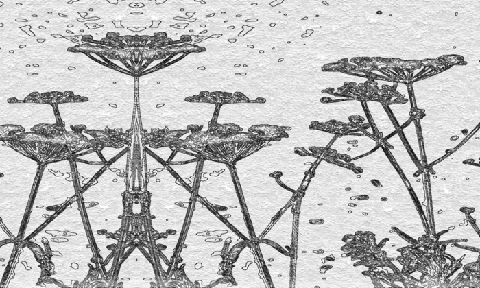 V_I_N (700x420, 145Kb)