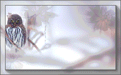 --1 (240x149, 11Kb)