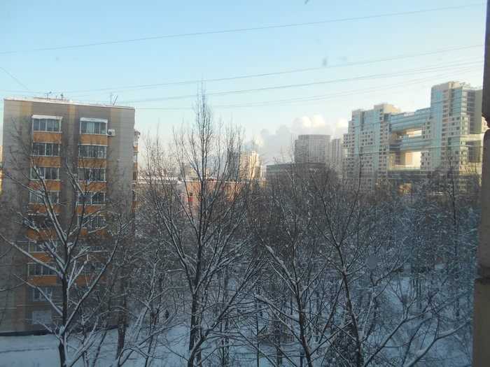 4331300_DSCN4061 (700x525, 290Kb)