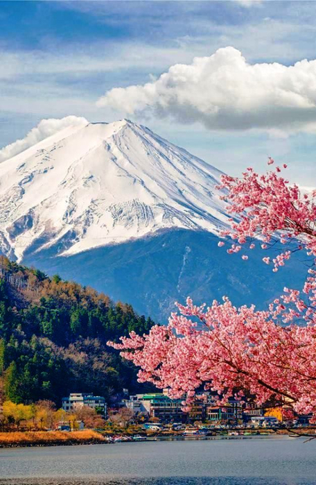 13 Japan is beautifu (456x700, 384Kb)