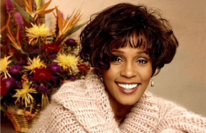 Whitney-Houston-1 (700x450, 53Kb)