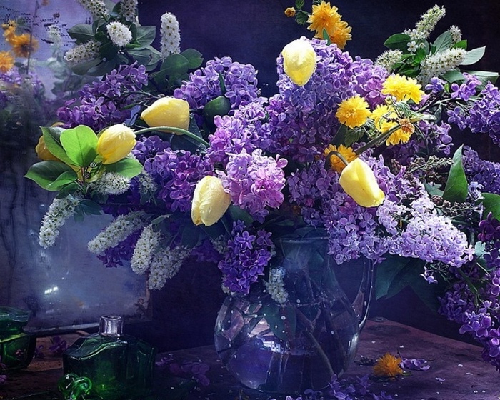 Beautiful-lilacs-in-a-still-life-photos-08 (700x560, 226Kb)
