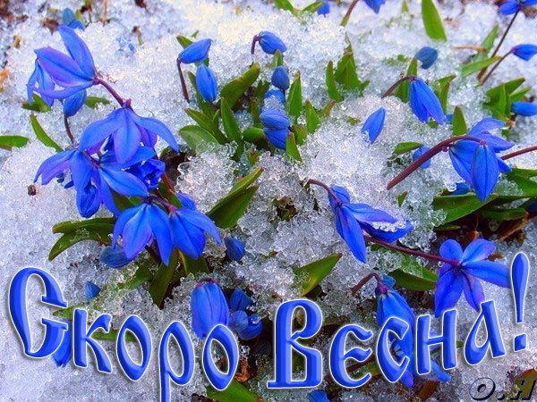 skoro-vesna (600x450, 105Kb)