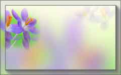 --1 (240x149, 6Kb)