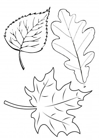 Ежик в осенних листьях. Шаблоны (5) (339x480, 59Kb)