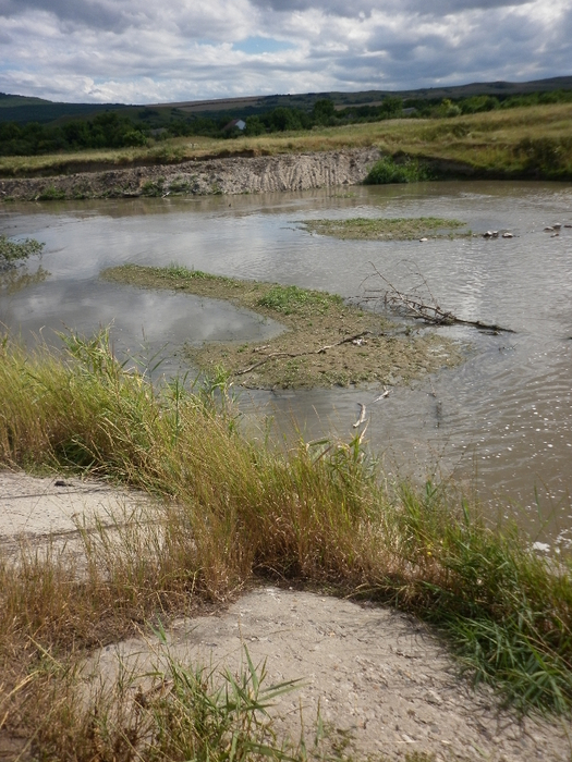 P1000316 (525x700, 446Kb)