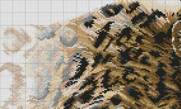 00 (604x365, 87Kb)