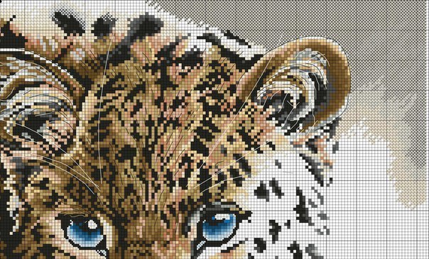 0000 (604x365, 99Kb)