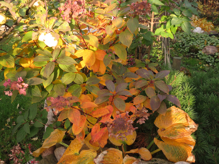 IMG_0023 (700x525, 611Kb)