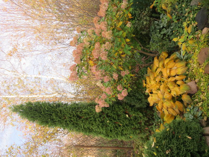 IMG_0028 (700x525, 634Kb)