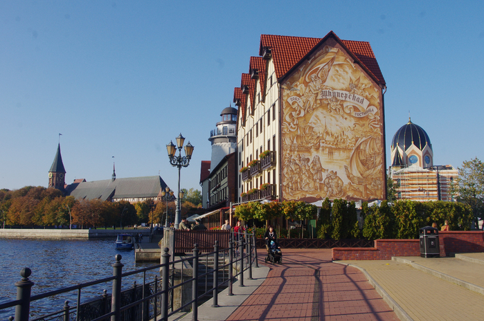 IMGP9258 (700x464, 465Kb)