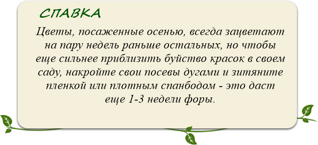 timer-back (649x296, 34Kb)