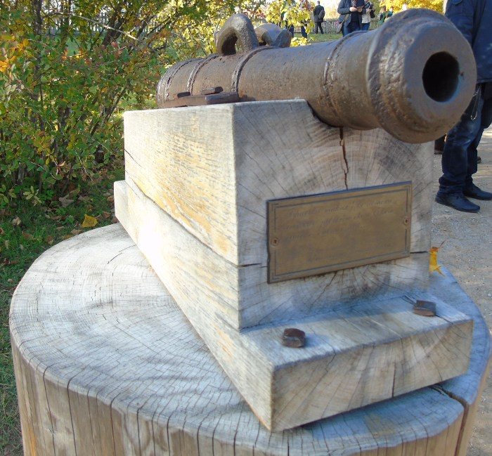 DSC01929 (700x649, 463Kb)