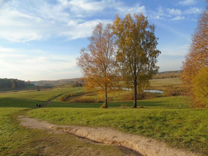 DSC01963 (700x525, 399Kb)