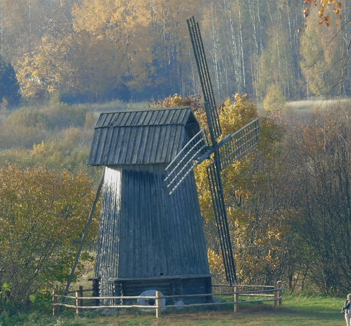 DSC01964 (700x649, 550Kb)