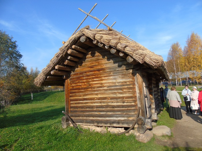 DSC02153 (700x525, 402Kb)