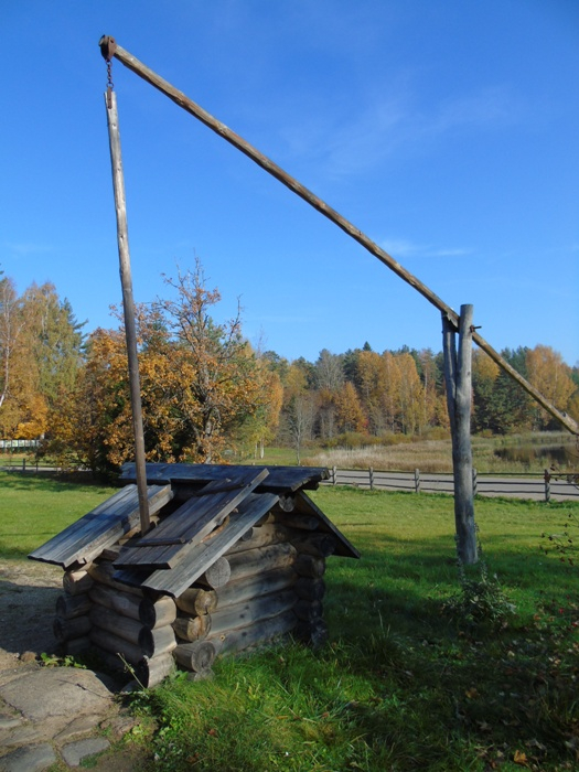 DSC02177 (525x700, 364Kb)