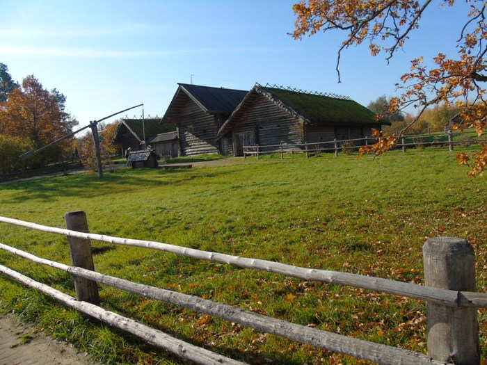 DSC02242 (700x525, 448Kb)