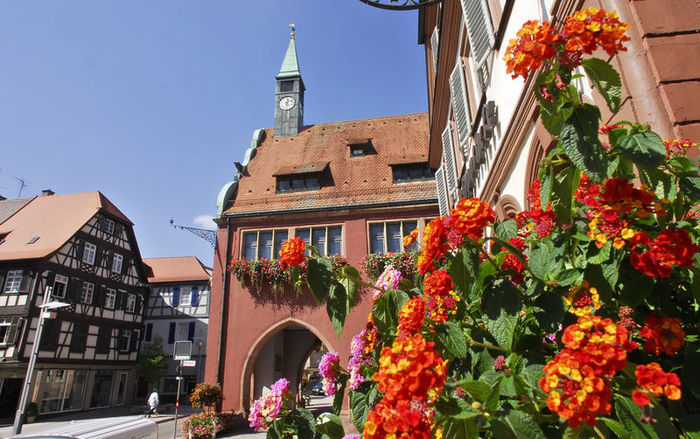 Altes_Rathaus_mit-Tourist-Information_front_large (900x639, 105Kb)