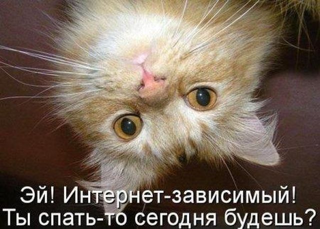 https://img1.liveinternet.ru/images/attach/d/2/145/108/145108573_4809770_ukot55_1_.jpg